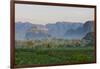 Limestone Hill, Farmland, Vinales Valley, UNESCO World Heritage Site, Cuba-Keren Su-Framed Photographic Print