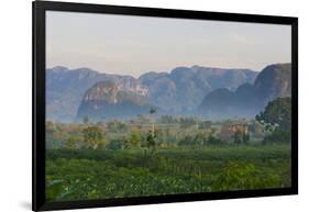 Limestone Hill, Farmland, Vinales Valley, UNESCO World Heritage Site, Cuba-Keren Su-Framed Photographic Print