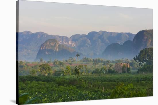 Limestone Hill, Farmland, Vinales Valley, UNESCO World Heritage Site, Cuba-Keren Su-Stretched Canvas