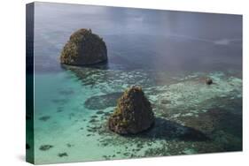 Limestone Islands Surrounded by a Coral Reef in Raja Ampat-Stocktrek Images-Stretched Canvas