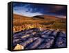 Limestone Landscape of the Burren Near Fanore, Burren, County Clare, Ireland-Gareth McCormack-Framed Stretched Canvas