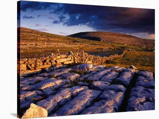 Limestone Landscape of the Burren Near Fanore, Burren, County Clare, Ireland-Gareth McCormack-Stretched Canvas