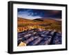 Limestone Landscape of the Burren Near Fanore, Burren, County Clare, Ireland-Gareth McCormack-Framed Premium Photographic Print