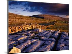 Limestone Landscape of the Burren Near Fanore, Burren, County Clare, Ireland-Gareth McCormack-Mounted Premium Photographic Print