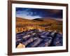 Limestone Landscape of the Burren Near Fanore, Burren, County Clare, Ireland-Gareth McCormack-Framed Photographic Print