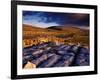 Limestone Landscape of the Burren Near Fanore, Burren, County Clare, Ireland-Gareth McCormack-Framed Photographic Print