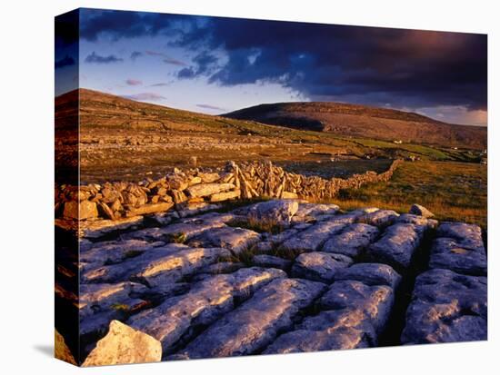 Limestone Landscape of the Burren Near Fanore, Burren, County Clare, Ireland-Gareth McCormack-Stretched Canvas