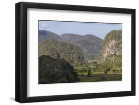 Limestone Mogotes-Rolf-Framed Photographic Print