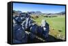 Limestone Outcrops on Castle Hill, Canterbury, South Island, New Zealand, Pacific-Michael-Framed Stretched Canvas