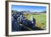 Limestone Outcrops on Castle Hill, Canterbury, South Island, New Zealand, Pacific-Michael-Framed Photographic Print