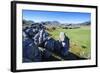 Limestone Outcrops on Castle Hill, Canterbury, South Island, New Zealand, Pacific-Michael-Framed Photographic Print