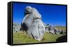 Limestone Outcrops on Castle Hill, Canterbury, South Island, New Zealand, Pacific-Michael-Framed Stretched Canvas