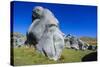 Limestone Outcrops on Castle Hill, Canterbury, South Island, New Zealand, Pacific-Michael-Stretched Canvas