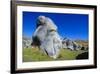 Limestone Outcrops on Castle Hill, Canterbury, South Island, New Zealand, Pacific-Michael-Framed Photographic Print