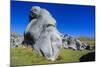 Limestone Outcrops on Castle Hill, Canterbury, South Island, New Zealand, Pacific-Michael-Mounted Photographic Print