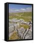 Limestone Pavement and Dry Stone Wall Above Settle, Yorkshire Dales National Park, England-Neale Clark-Framed Stretched Canvas