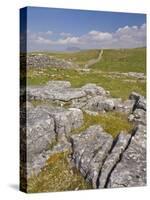 Limestone Pavement and Dry Stone Wall Above Settle, Yorkshire Dales National Park, England-Neale Clark-Stretched Canvas