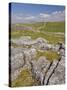 Limestone Pavement and Dry Stone Wall Above Settle, Yorkshire Dales National Park, England-Neale Clark-Stretched Canvas