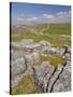 Limestone Pavement and Dry Stone Wall Above Settle, Yorkshire Dales National Park, England-Neale Clark-Stretched Canvas