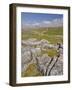 Limestone Pavement and Dry Stone Wall Above Settle, Yorkshire Dales National Park, England-Neale Clark-Framed Photographic Print