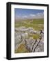 Limestone Pavement and Dry Stone Wall Above Settle, Yorkshire Dales National Park, England-Neale Clark-Framed Photographic Print