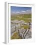 Limestone Pavement and Dry Stone Wall Above Settle, Yorkshire Dales National Park, England-Neale Clark-Framed Photographic Print