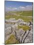 Limestone Pavement and Dry Stone Wall Above Settle, Yorkshire Dales National Park, England-Neale Clark-Mounted Photographic Print