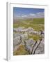 Limestone Pavement and Dry Stone Wall Above Settle, Yorkshire Dales National Park, England-Neale Clark-Framed Photographic Print