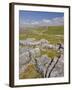 Limestone Pavement and Dry Stone Wall Above Settle, Yorkshire Dales National Park, England-Neale Clark-Framed Photographic Print