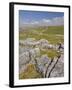 Limestone Pavement and Dry Stone Wall Above Settle, Yorkshire Dales National Park, England-Neale Clark-Framed Photographic Print