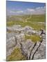 Limestone Pavement and Dry Stone Wall Above Settle, Yorkshire Dales National Park, England-Neale Clark-Mounted Photographic Print