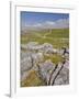 Limestone Pavement and Dry Stone Wall Above Settle, Yorkshire Dales National Park, England-Neale Clark-Framed Photographic Print