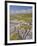 Limestone Pavement and Dry Stone Wall Above Settle, Yorkshire Dales National Park, England-Neale Clark-Framed Photographic Print