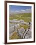 Limestone Pavement and Dry Stone Wall Above Settle, Yorkshire Dales National Park, England-Neale Clark-Framed Photographic Print