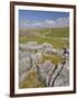 Limestone Pavement and Dry Stone Wall Above Settle, Yorkshire Dales National Park, England-Neale Clark-Framed Photographic Print