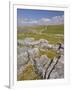 Limestone Pavement and Dry Stone Wall Above Settle, Yorkshire Dales National Park, England-Neale Clark-Framed Photographic Print