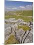 Limestone Pavement and Dry Stone Wall Above Settle, Yorkshire Dales National Park, England-Neale Clark-Mounted Photographic Print