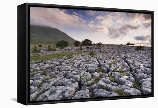 Limestone Pavement and Ingleborough Mountain-Markus Lange-Framed Stretched Canvas