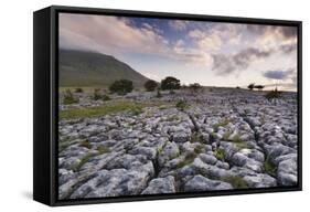 Limestone Pavement and Ingleborough Mountain-Markus Lange-Framed Stretched Canvas