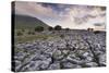 Limestone Pavement and Ingleborough Mountain-Markus Lange-Stretched Canvas