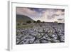 Limestone Pavement and Ingleborough Mountain-Markus Lange-Framed Photographic Print