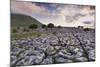 Limestone Pavement and Ingleborough Mountain-Markus Lange-Mounted Photographic Print