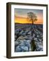 Limestone Pavement, Malham, Yorkshire Dales, England, Uk-John Carroll Photography-Framed Photographic Print