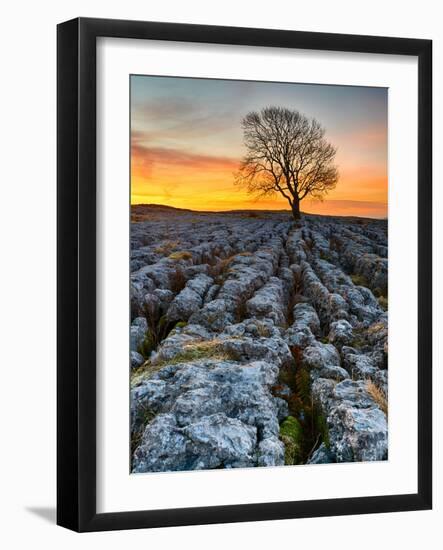 Limestone Pavement, Malham, Yorkshire Dales, England, Uk-John Carroll Photography-Framed Photographic Print