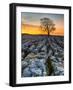 Limestone Pavement, Malham, Yorkshire Dales, England, Uk-John Carroll Photography-Framed Photographic Print