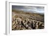 Limestone Pavement, Yorkshire-Bob Gibbons-Framed Photographic Print