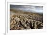 Limestone Pavement, Yorkshire-Bob Gibbons-Framed Photographic Print