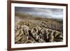 Limestone Pavement, Yorkshire-Bob Gibbons-Framed Photographic Print