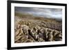 Limestone Pavement, Yorkshire-Bob Gibbons-Framed Photographic Print