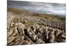 Limestone Pavement, Yorkshire-Bob Gibbons-Mounted Photographic Print